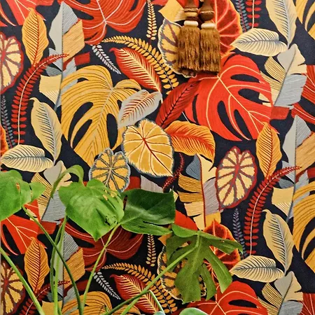 Avec Vue Rue Ste Catherine * Bordeaux